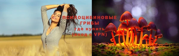 сатива Алзамай