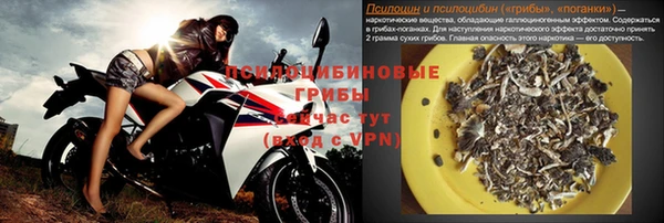 амф Алексин