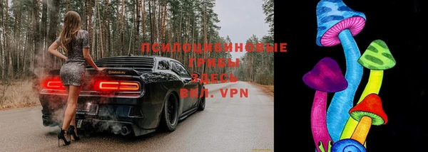 амф Алексин