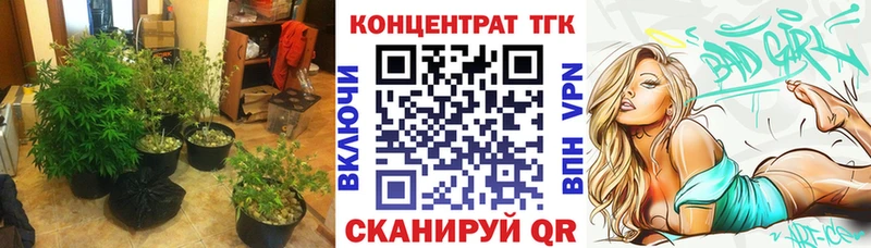 ТГК Wax omg зеркало Зеленоградск