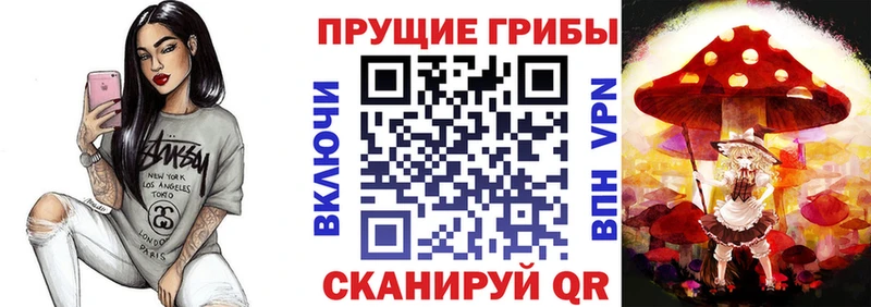 наркошоп Зеленоградск ссылка на мегу Псилоцибиновые грибы ЛСД